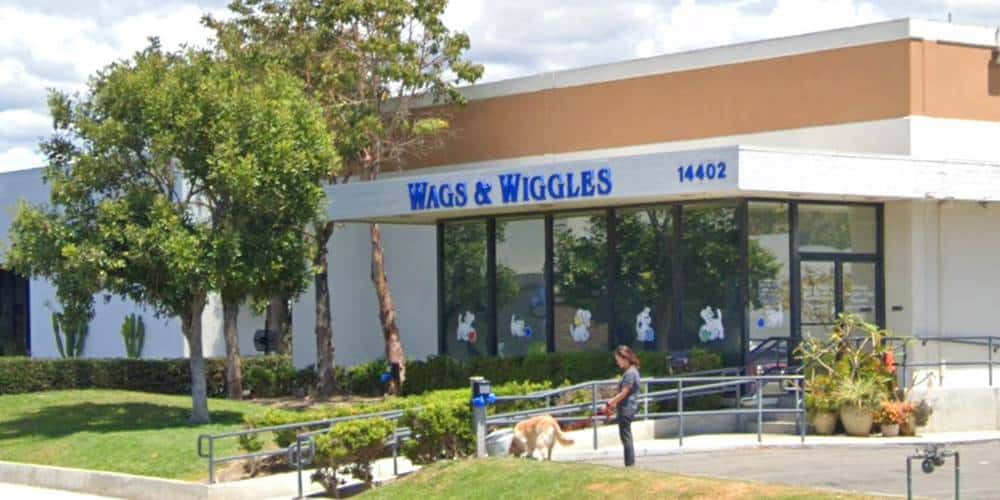 Wags & Wiggles, site of dog teeth cleaning in Tustin by Qualified Pet Dental