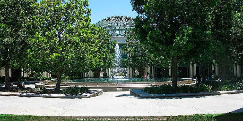 Qualified Pet Dental provides dog teeth cleaning at multiple Escondido locations!