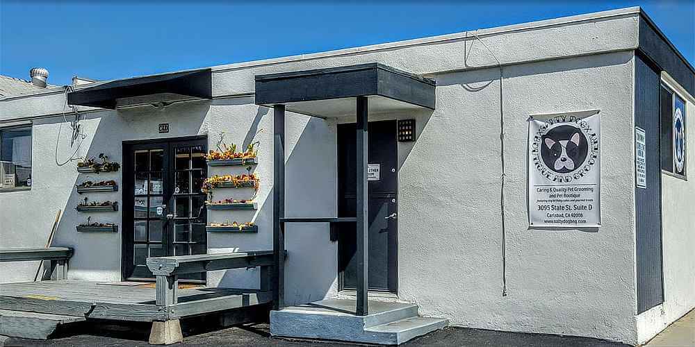 Storefront of Salty Dog Groomery, site of dog teeth cleaning in Carlsbad, CA by Qualified Pet Dental