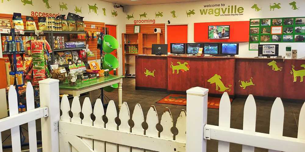 Reception area of Wagville Dog Daycare, site of dog teeth cleaning in northeast Los Angeles, CA (Glassell Park) by Qualified Pet Dental.