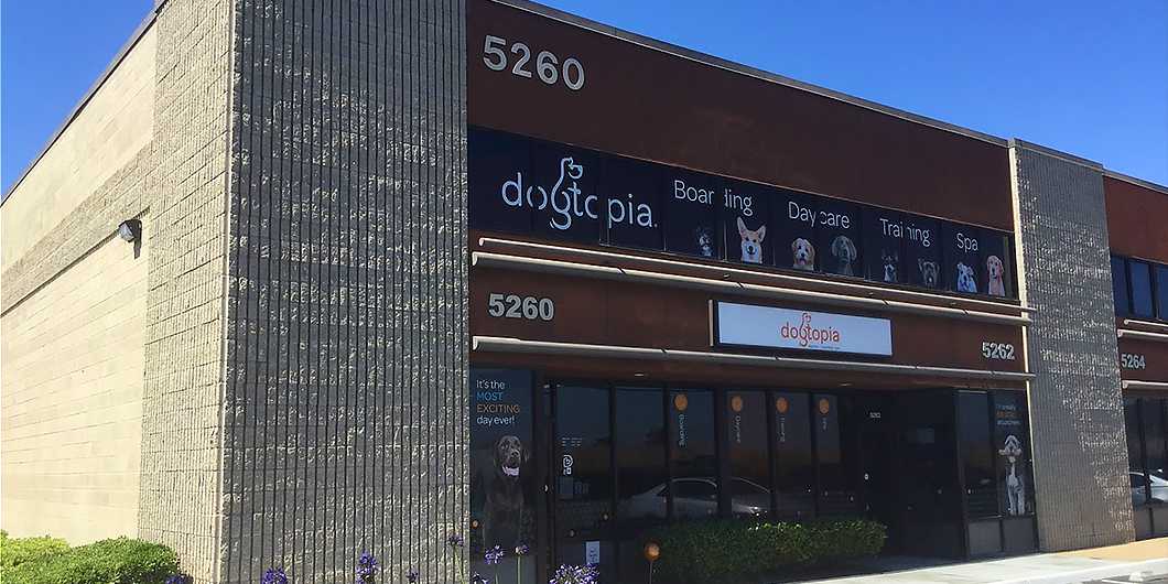 Storefront of Dogtopia in Miramar (San Diego), site of dog teeth cleaning by Qualified Pet Dental.