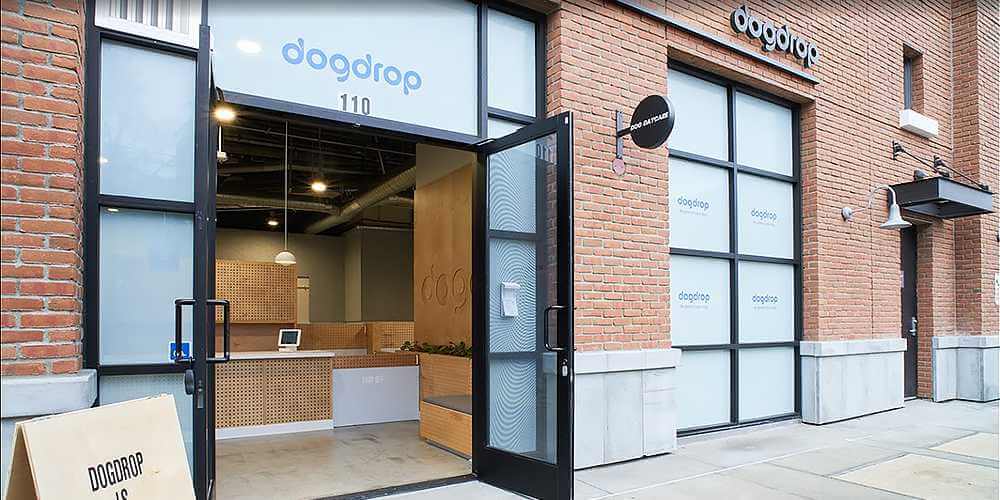 Dogdrop, site of dog teeth cleaning in Downtown Los Angeles by Qualified Pet Dental