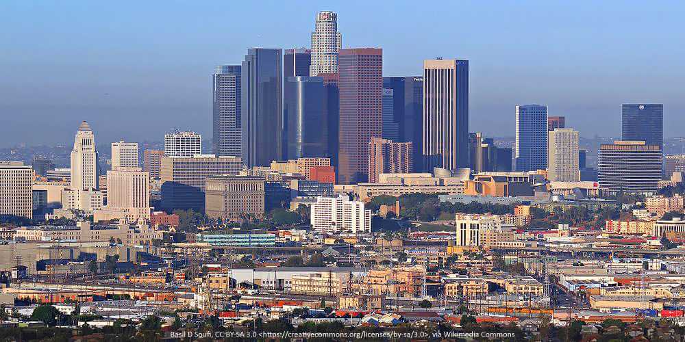 Qualified Pet Dental provides dog teeth cleaning at multiple DTLA locations!