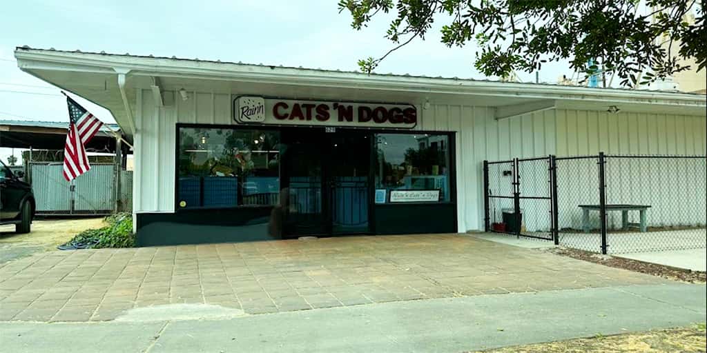 Raining Cats n Dogs Pet Grooming, site of dog teeth cleaning in Escondido, California by Qualified Pet Dental