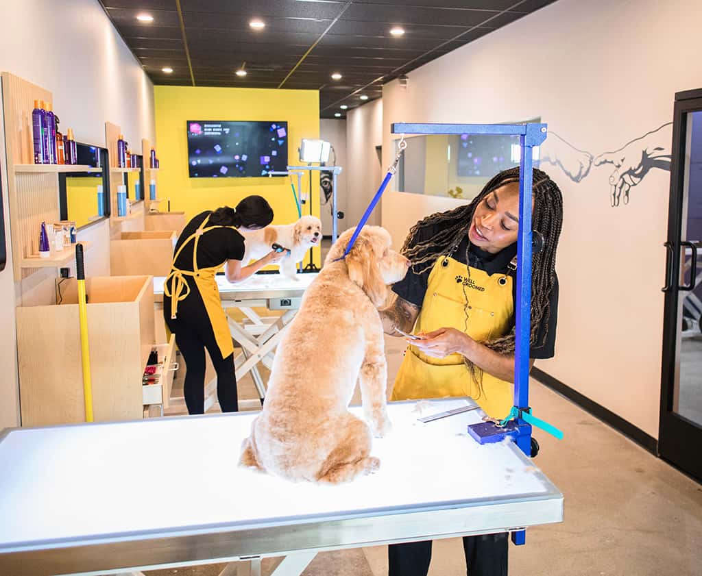 Storefront of Well Groomed, site of dog teeth cleaning in Laguna Niguel, California by Qualified Pet Dental